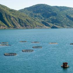黒海地方 トルコ の人気ホテル10選 黒海地方 トルコ トルコ と周辺のホテル 黒海地方 トルコ の人気ホテル10選 黒海地方 トルコ トルコ と周辺のホテル