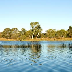 Bowral 71 cottages