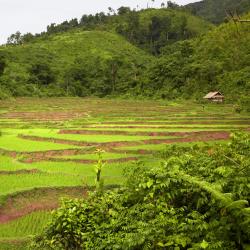 Muang Sing 2 hôtels