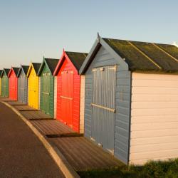 Dawlish 5 glamping sites