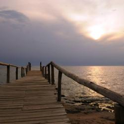 Mugotora 2 hotels