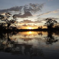 Cuyabeno Brunarice (3)