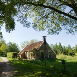 Zuidlaren 4 holiday rentals