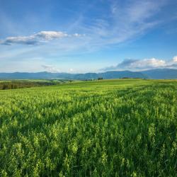 Považská Bystrica 3 affittacamere
