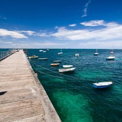 Flinders 31 vacation homes
