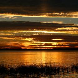 Auburndale 13 hotels
