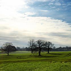 Bawtry 4 apartments