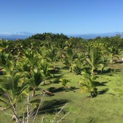 Punta Caracol