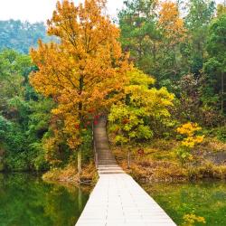 Lishui 5 hotels with parking