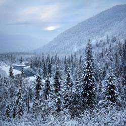 Kenai 33 hotels
