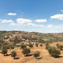 Civitella in Val di Chiana 3 farm stays