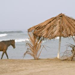 Playa Azul 9 hotelů
