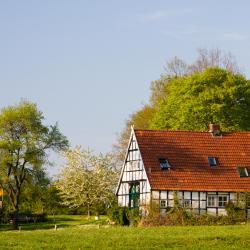 Ibbenbüren 12 apartments