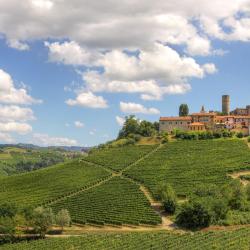 Castiglione Falletto 4 vacation homes