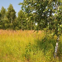 Tomaszów Mazowiecki 10 obiektów na wynajem sezonowy