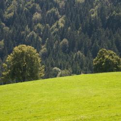 Leutkirch im Allg&auml;u 11 villas