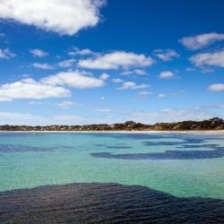 Emu Bay 14 cheap hotels