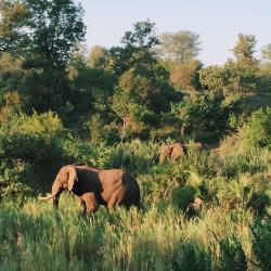 Empangeni 27 hotels with parking