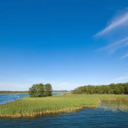 Krukliankos Atostogų nameliai (17)