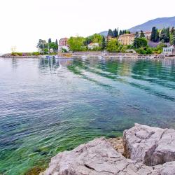 Ika 25 pet-friendly hotels