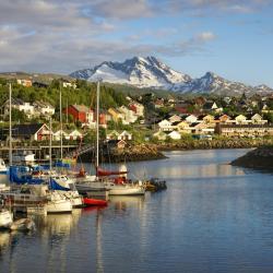 Narvik 14 hotels