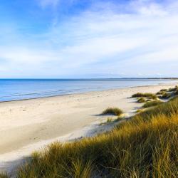 Strandby 45 hotelů