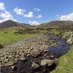 Newtonmore 5 of the homestays