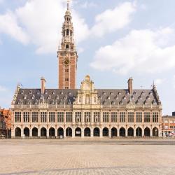 Leuven 29 vacation rentals