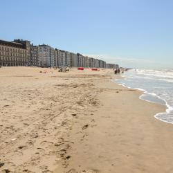 Ostend 5 guest houses