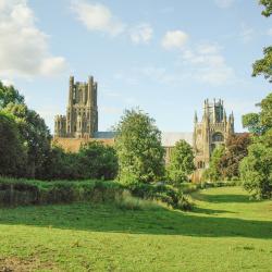 Ely 7 B&Bs