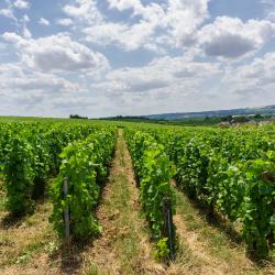 Vertus 5 bed & breakfast