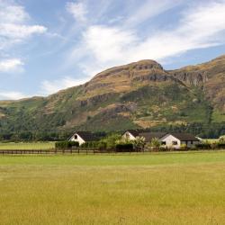 Auchterarder 6 of the lodges