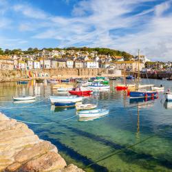 Penzance 39 B&Bs