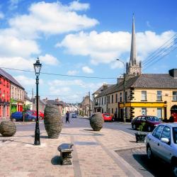 Carlow 6 B&Bs