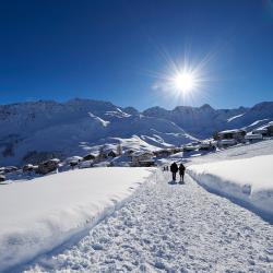 Arosa 18 cabins