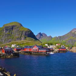 Andenes 17 of the holiday rentals
