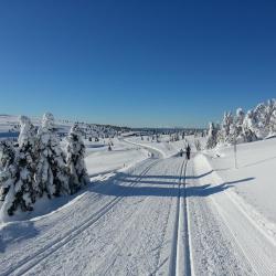 Nordseter 4 pet-friendly hotels