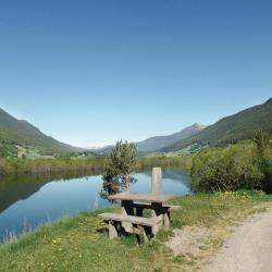 V&aring;g&aring;mo 3 hoteles que aceptan mascotas