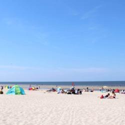 Renesse 20 vacation homes