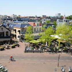 Assen 3 hoteles que aceptan mascotas