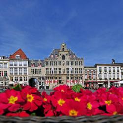 Bergen op Zoom 5 casas rústicas