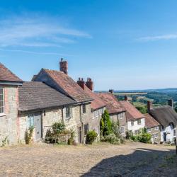 Shaftesbury 40 hotels