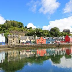 Tobermory 10 of the B&Bs