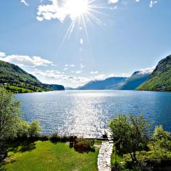 Hornindal 4 pet-friendly hotels