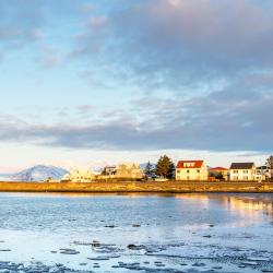 Höfn