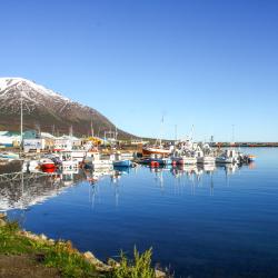 Dalvík 4 holiday rentals