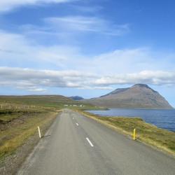 Þórshöfn 8 Hotels