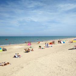 De Panne 101 cottages