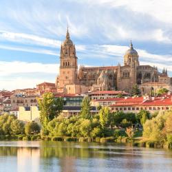 Salamanca 33 guest houses