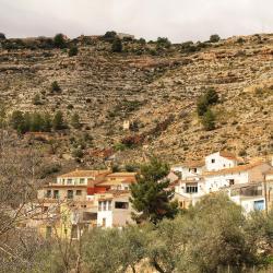 Tolosa 3 pet-friendly hotels
